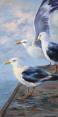 Sea Gulls - oil painting